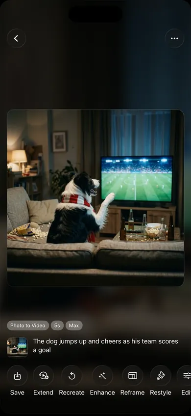 Finished video of the dog cheering in front of the TV, with Save, Extend and Recreate buttons
